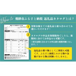 ふるさと納税 後からゆっくり返礼品を選べる♪飛...の詳細画像3