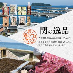 ふるさと納税 関の逸品 E22022 大分県大分市の詳細画像1