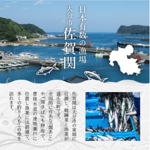 ふるさと納税 関の逸品 E22022 大分県大分市の詳細画像3