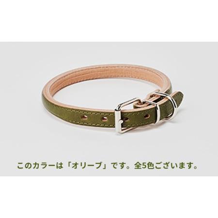 ふるさと納税 good collar 5号［犬 猫 首輪］ オリーブ 兵庫県姫路市