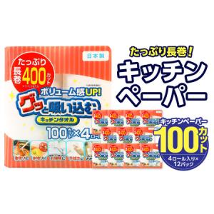 ふるさと納税 R14030　グッと吸い込むキッチンタオル100カット（4ロール×12パック）キッチンペーパー　吸収力に優れたキッチンペーパー　破..