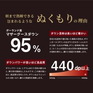 ふるさと納税 創業100年 ポーランドマザーグ...の詳細画像2