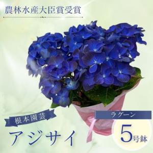 ふるさと納税 先行予約 アジサイ ラグーン(青系...の商品画像