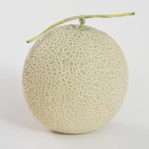 ふるさと納税 【定期便】 アールスメロン 食べ...の詳細画像1