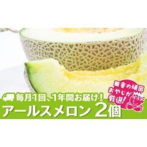 ふるさと納税 【定期便】 アールスメロン 食べてみセット 2個入り 毎月1回 1年コース(全12回) 茨城県つくばみらい市