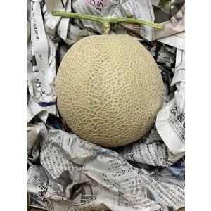 ふるさと納税 【定期便】 アールスメロン 食べ...の詳細画像1