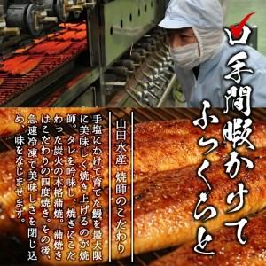 ふるさと納税 【数量限定】チンする♪霧島湧水鰻...の詳細画像2