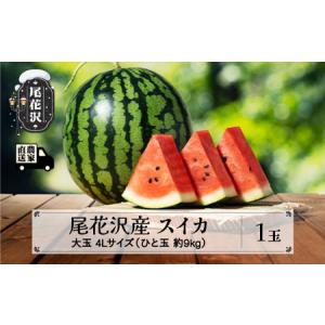 ふるさと納税 先行予約 スイカ すいか 尾花沢産スイカ 4Lサイズ 約9kg×1玉 7月下旬〜8月中...