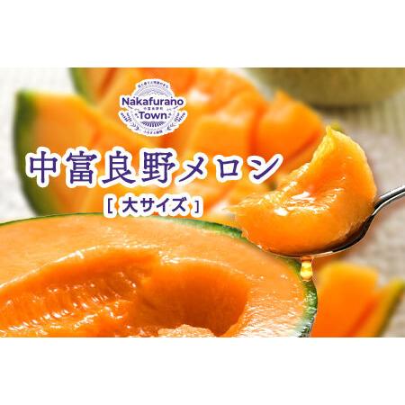 ふるさと納税 【2026年発送】北海道赤肉メロン大玉2玉（計3.2kg以上）【AX-005】 北海道...