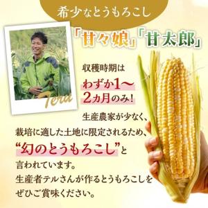 ふるさと納税 とうもろこし 甘々娘 または 甘...の詳細画像1
