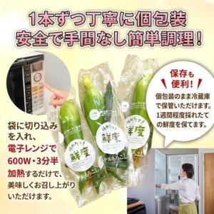 ふるさと納税 とうもろこし 甘々娘 または 甘...の詳細画像3