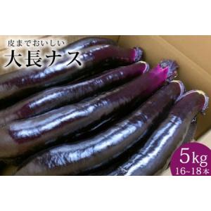 ふるさと納税 AF004【令和6年度出荷分】皮までおいしい！島原 大長ナス 5kg（16〜18本） 長崎県島原市｜furunavi