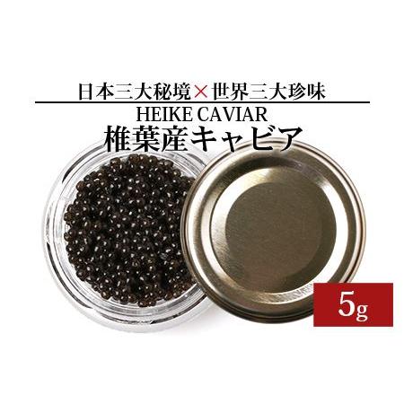 ふるさと納税 【訳あり】HEIKE CAVIAR 5ｇ 【宮崎県 椎葉村】キャビア　チョウザメ 【世...