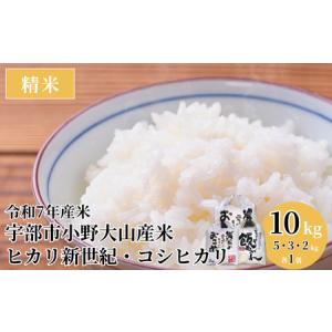 ふるさと納税 令和7年産 宇部市小野『大山産米』...の商品画像