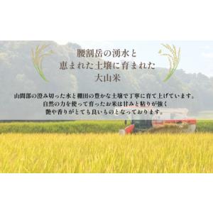 ふるさと納税 令和7年産 宇部市小野『大山産米...の詳細画像1