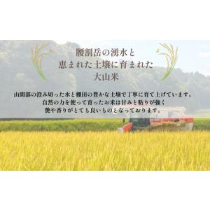 ふるさと納税 令和7年産 宇部市小野 大山産 ...の詳細画像1