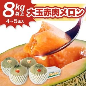 ふるさと納税 SB0646 大玉赤肉メロン 8kg以上(4〜5玉入) つる無し 山形県酒田市