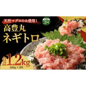 ふるさと納税 【3回お届け定期便】高豊丸 ネギトロ 定期便 tk017 高知県室戸市