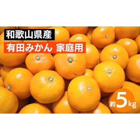 ふるさと納税 和歌山県産 有田みかん 約5kg 家庭用 和歌山県美浜町
