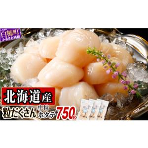 ふるさと納税 【中国禁輸措置被害支援品】オホーツク産お刺身用ホタテ【750g（250g×3）】_K009-0708 北海道白糠町