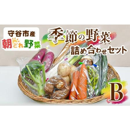 ふるさと納税 季節の野菜セットB 茨城県守谷市