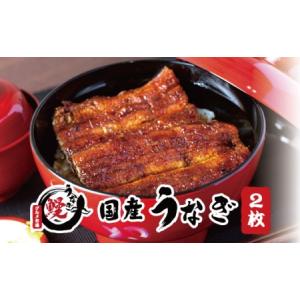 ふるさと納税 国産うなぎ 関西風蒲焼 大サイズ２枚(合計約300g)薬味付【北山グルメ市場】【miw102】 和歌山県北山村