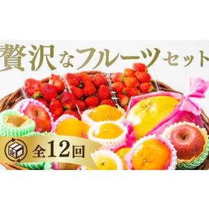 ふるさと納税 A027 ご褒美＊フルーツ定期便（12回） 山口県山口市