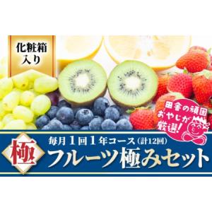 ふるさと納税 フルーツ極み定期便セット【毎月1回1年コース(計12回)】［化粧箱入り］ 茨城県つくばみらい市