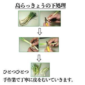 ふるさと納税 【山将仕立】島らっきょう 塩漬(...の詳細画像2