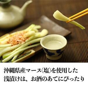 ふるさと納税 【山将仕立】島らっきょう 塩漬(...の詳細画像1