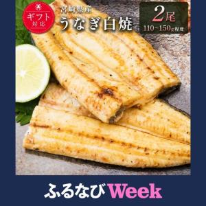 ふるさと納税 【ふるなびWEEK対象】【2週間以...の商品画像