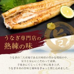 ふるさと納税 【ふるなびWEEK対象】【2週間...の詳細画像1