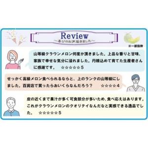 ふるさと納税 メロン 3ヶ月 定期便 クラウン...の詳細画像3