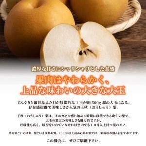 ふるさと納税 DS-22 訳あり梨(王秋) 5...の詳細画像2