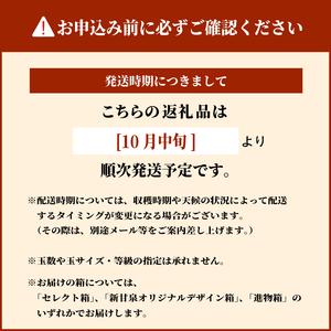 ふるさと納税 DS-22 訳あり梨(王秋) 5...の詳細画像3