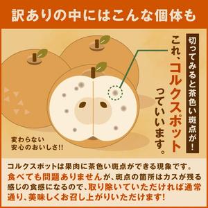 ふるさと納税 DS-22 訳あり梨(王秋) 5...の詳細画像4