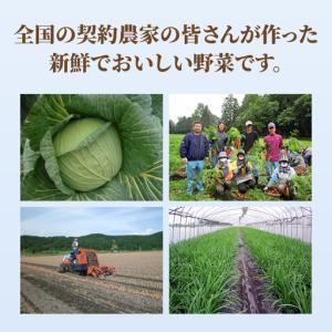 ふるさと納税 あの人気店の味をおうちで!【12...の詳細画像3