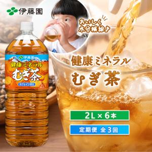 ふるさと納税 『定期便：全3回』健康ミネラルむぎ茶2L×6本【50000101】 北海道恵庭市