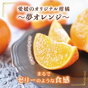 ふるさと納税 【先行予約】訳あり みかん職人の...の詳細画像1