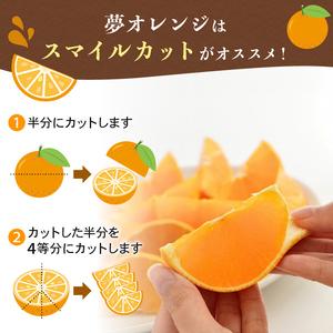 ふるさと納税 【先行予約】訳あり みかん職人の...の詳細画像2