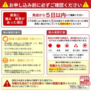 ふるさと納税 【先行予約】訳あり みかん職人の...の詳細画像3