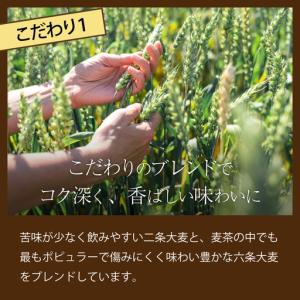 ふるさと納税 【定期便12ヶ月】おいしい麦茶6...の詳細画像4
