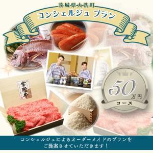 ふるさと納税 ZZ001_【提案型】あなただけのコンシェルジュプラン（50万円コース） 茨城県大洗町