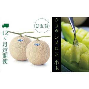 ふるさと納税 メロン 12ヶ月 定期便 クラウン 白等級 小玉 2玉 メロン 静岡県袋井市