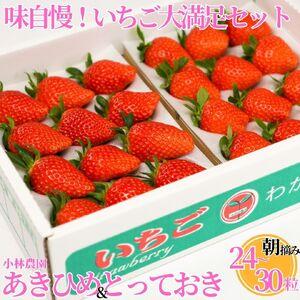 ふるさと納税 いちご 24〜30粒 苺 イチゴ 大満足 セット 章姫 あきひめ とっておき 産地直送...