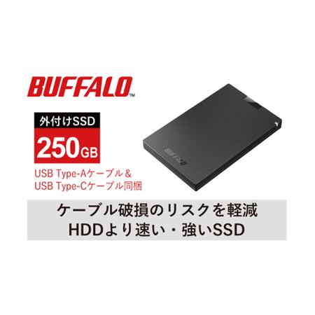 ふるさと納税 BUFFALO バッファロー ポータブル SSD 250GB TypeA &amp; Type...