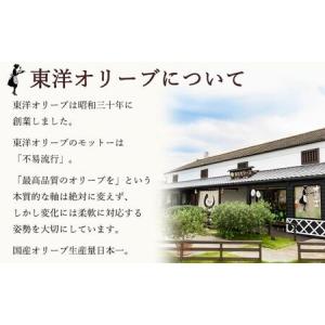 ふるさと納税 【 小豆島 】【予約商品】小豆島...の詳細画像3