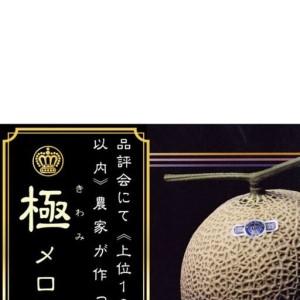 ふるさと納税 【6ヶ月定期便】クラウンメロン”極メロン”１玉【桐箱入り】 メロン 人気 厳選 ギフト 贈り物 デザート グルメ フルーツ 果物 袋.. 静岡県袋井市