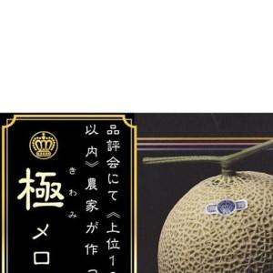 ふるさと納税 【6ヶ月定期便】数量限定！『クラウンメロン ”極メロン” 1玉 』 ギフト箱入り メロン 静岡 マスクメロン フルーツ 果物 デザート.. 静岡県袋井市