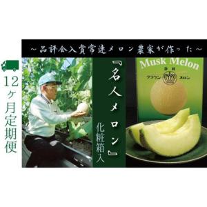 ふるさと納税 メロン 12ヶ月 定期便 クラウン 名人 1玉 果物 メロン 静岡県袋井市